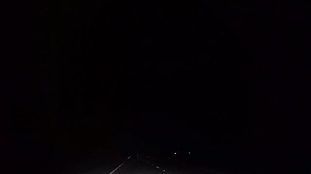550-POUND COUGAR ENCOUNTER AT A TRUCK STOP - A WILD MEETING!